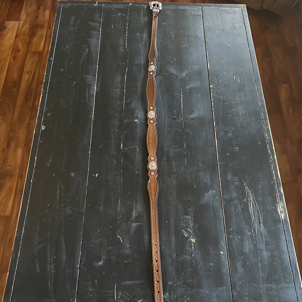 Western Belt